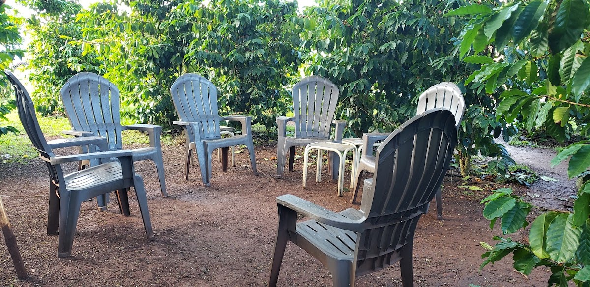 Photo principale Green World Coffee Farm